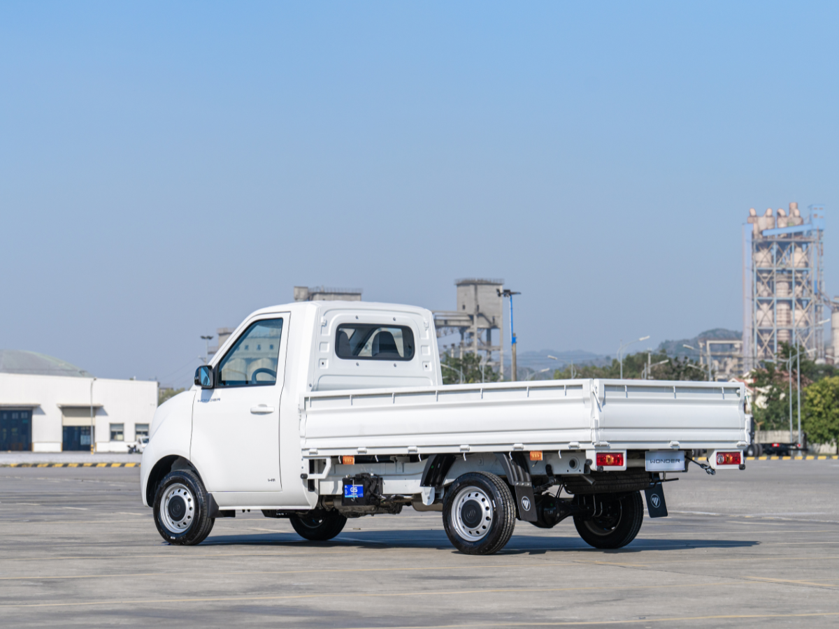 Foton Wonder - Ảnh 4