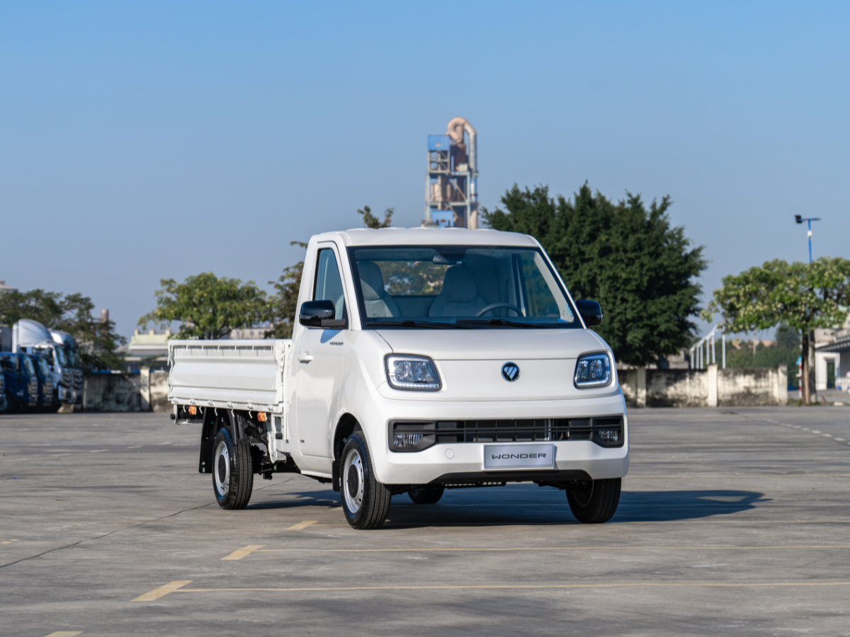 Foton Wonder